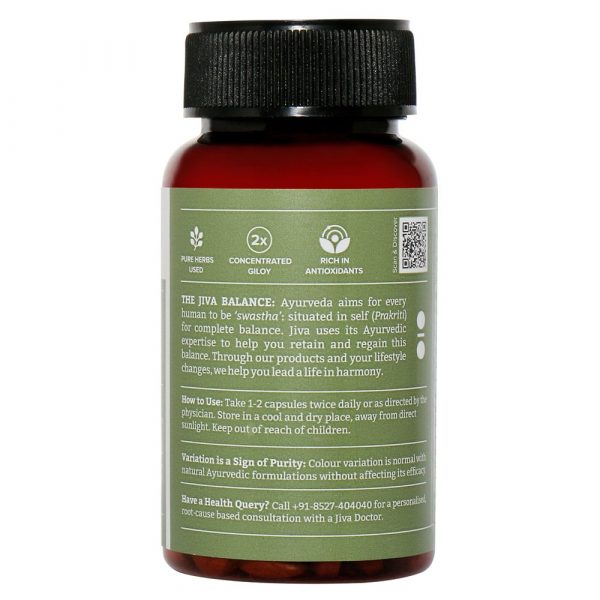 Giloy 60 Capsule Immunity Enhancer Jiva - Image 5