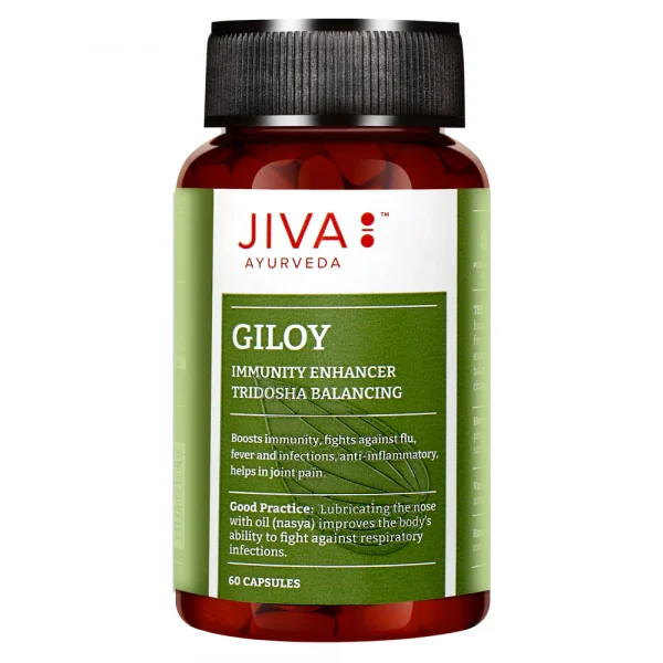 Giloy 60 Capsule Immunity Enhancer Jiva - Image 6