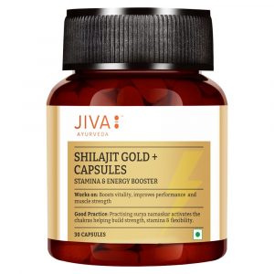 SHILAJIT GOLD+ 30 Stamina & Energy Booster