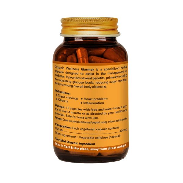 Gurmar 90 Vegetarian Capsules - Image 2