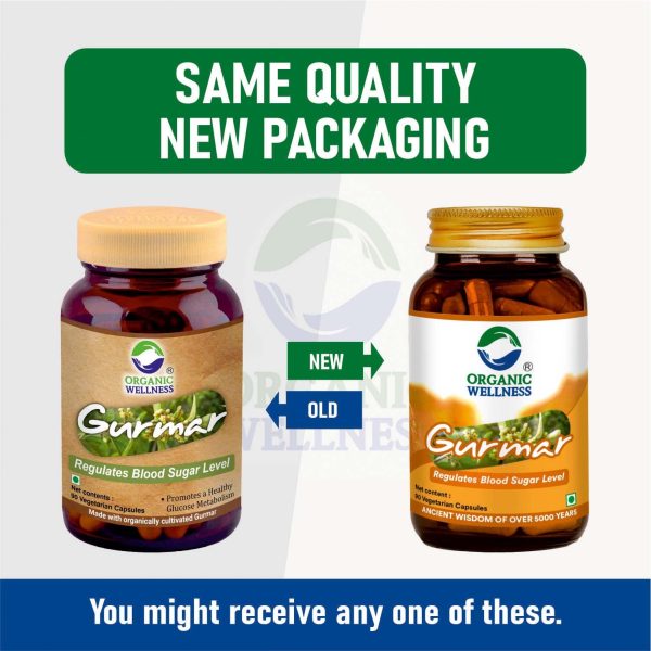 Gurmar 90 Vegetarian Capsules - Image 3