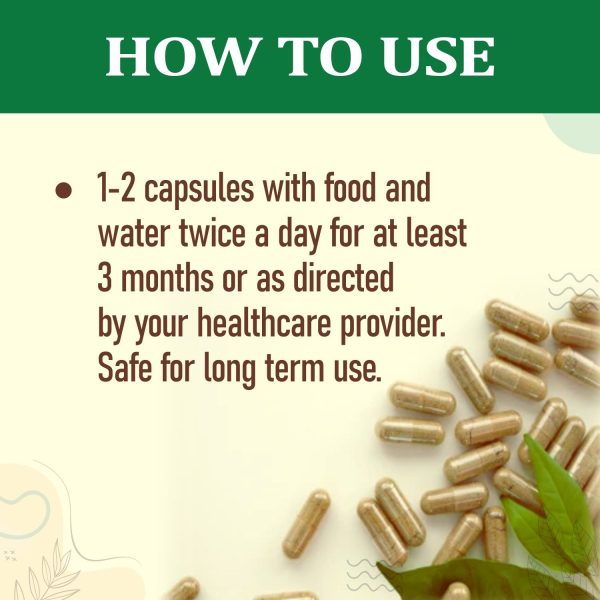 Gurmar 90 Vegetarian Capsules - Image 4