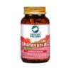Shatavari A+ | Supplement for Hormonal Balance | Supports Women’s Health & Reproductive Health (90 Capsules)