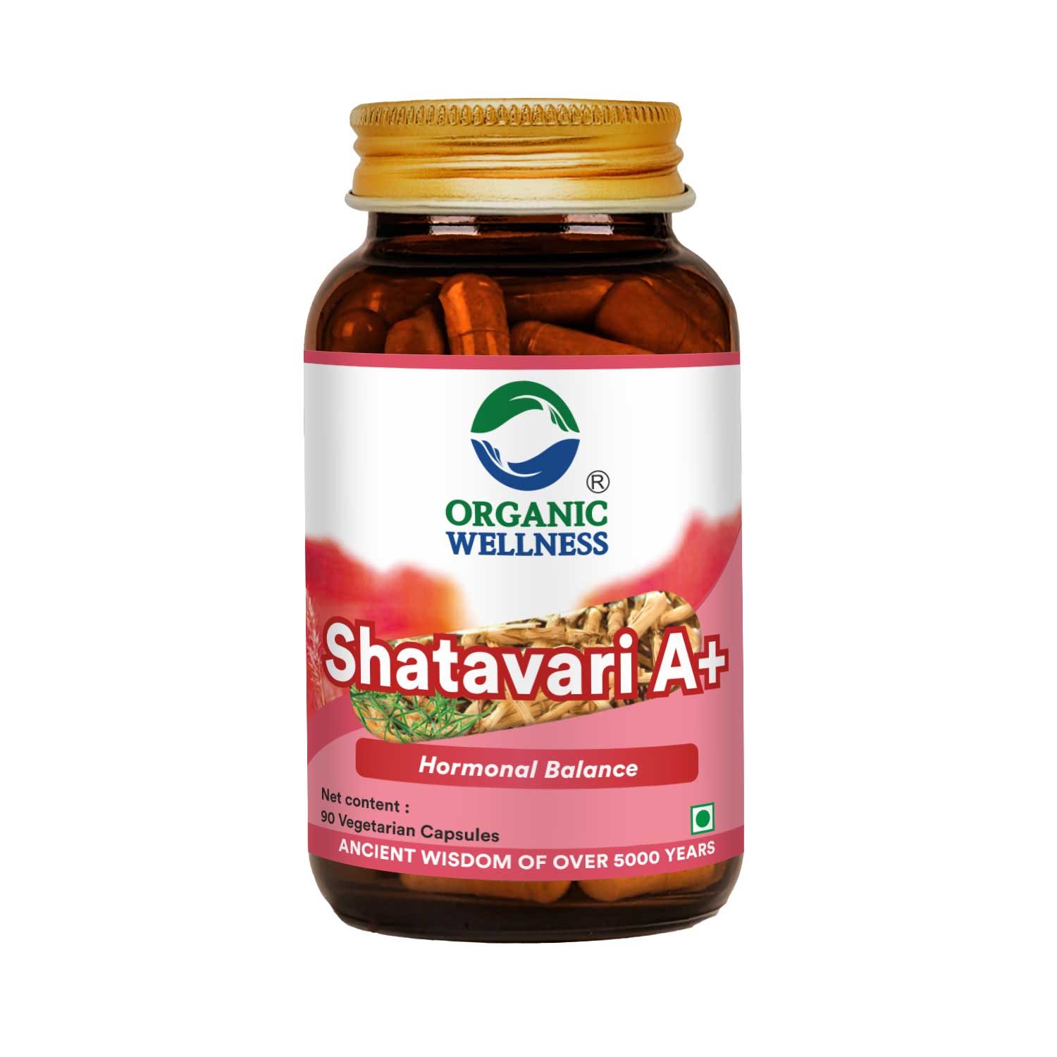 Shatavari A+ | Supplement for Hormonal Balance | Supports Women’s Health & Reproductive Health (90 Capsules)