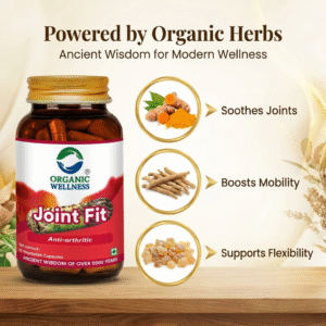 Joint Fit 90 Capsules